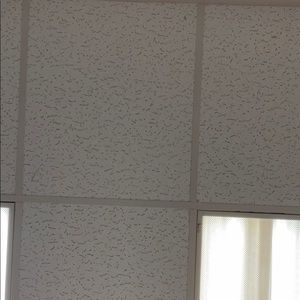 Meet your Posher, Karin